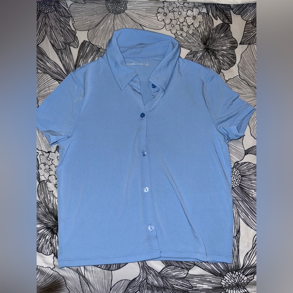 Abercrombie & Fitch Blue Button Up Polo